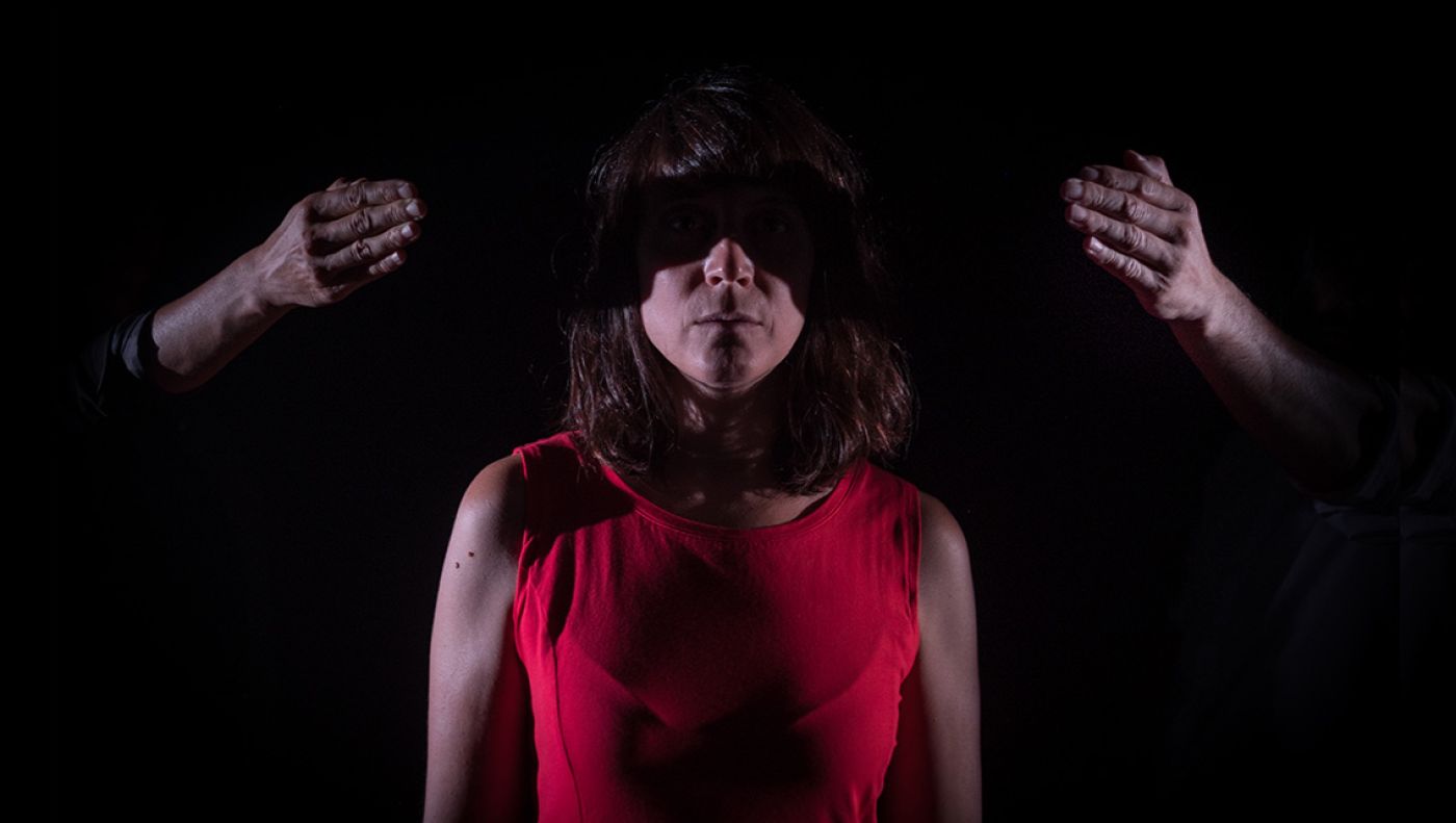 Assaig sobre la lucidesa Assaig sobre la lucidesa