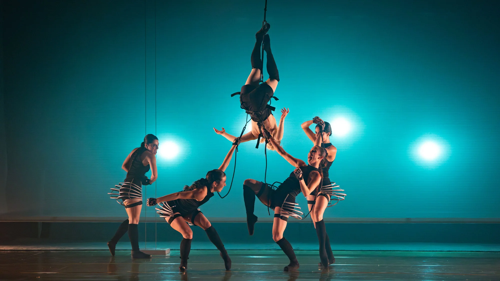 LA CORDERO I EL SEU EXÈRCIT