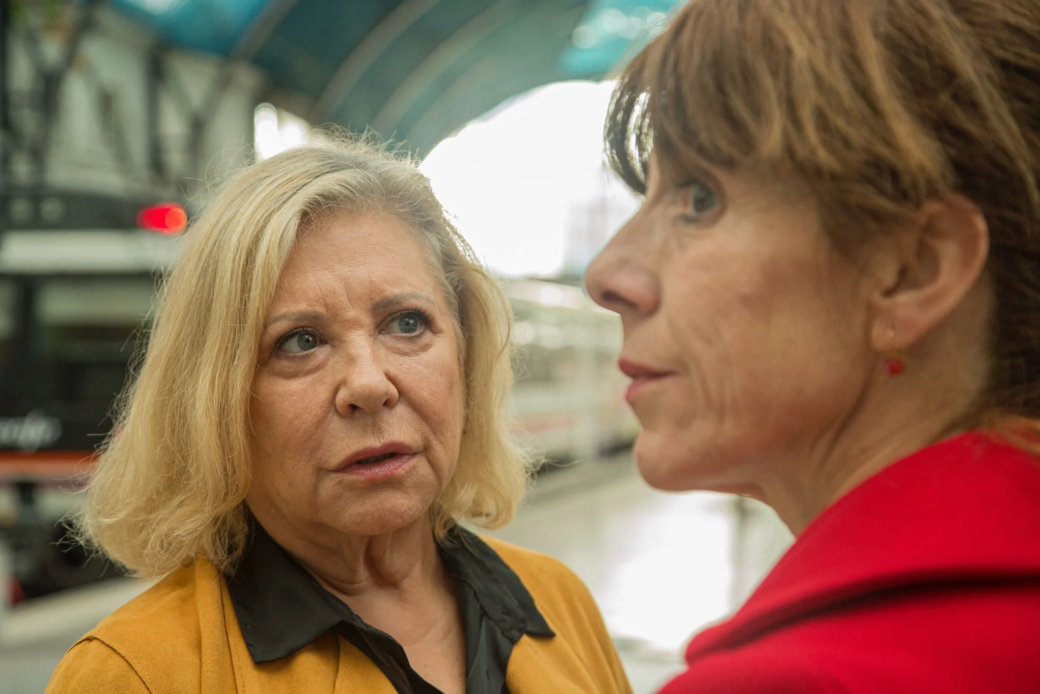 LA MEITAT DE L’ÀNIMA