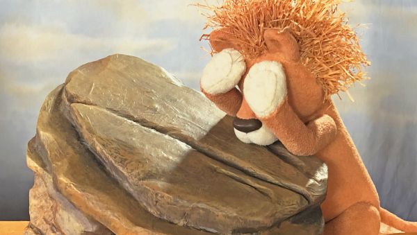Les aventures del lleó vergonyós Les aventures del lleó vergonyós