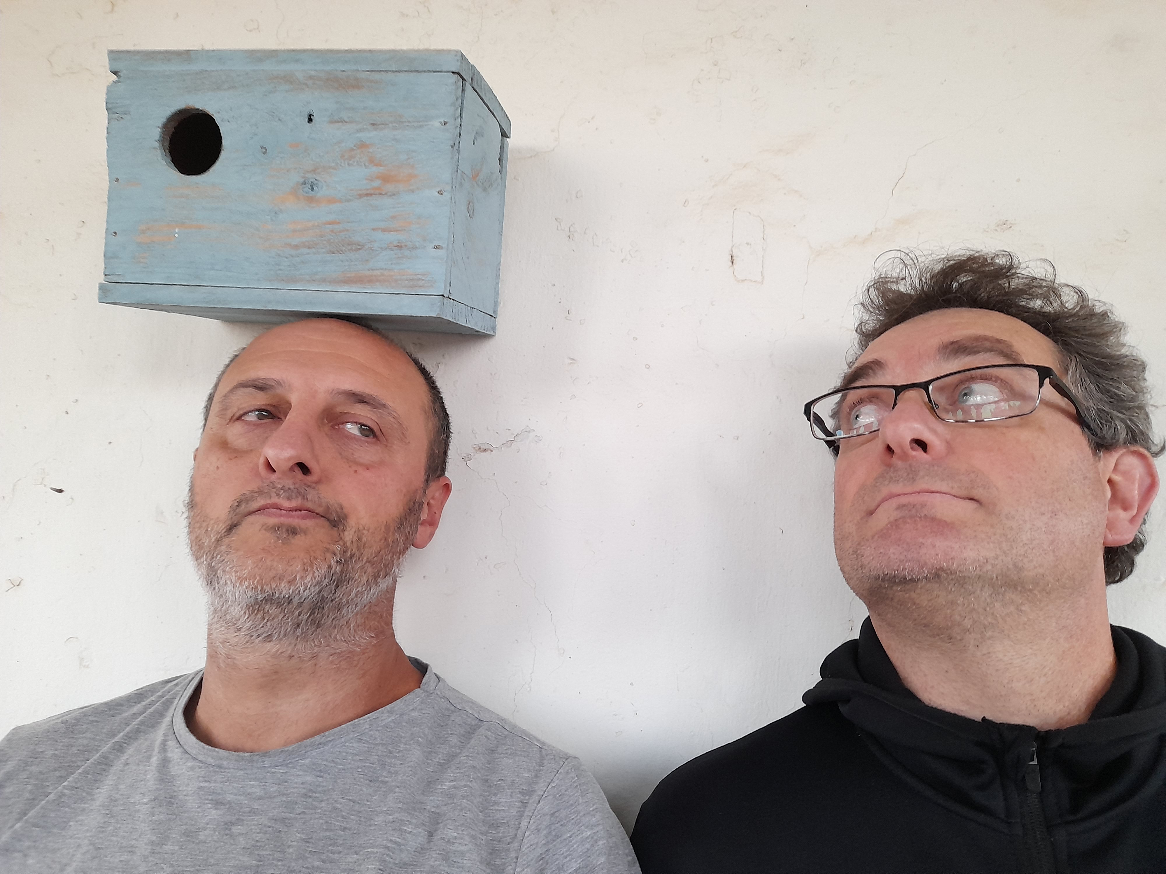 Piu Piu i la mallerenga sense niu